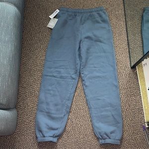 aritzia blue grey sweatpants